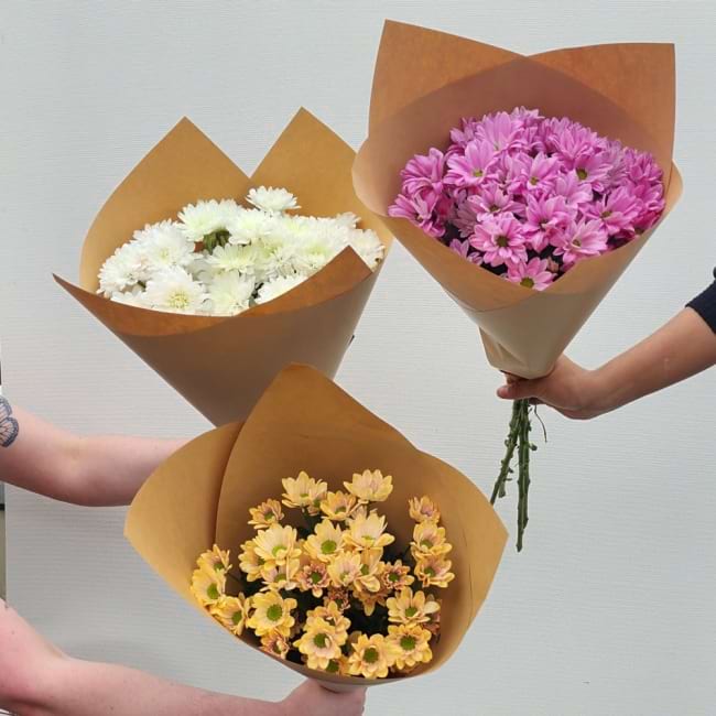 Chrysanthemums